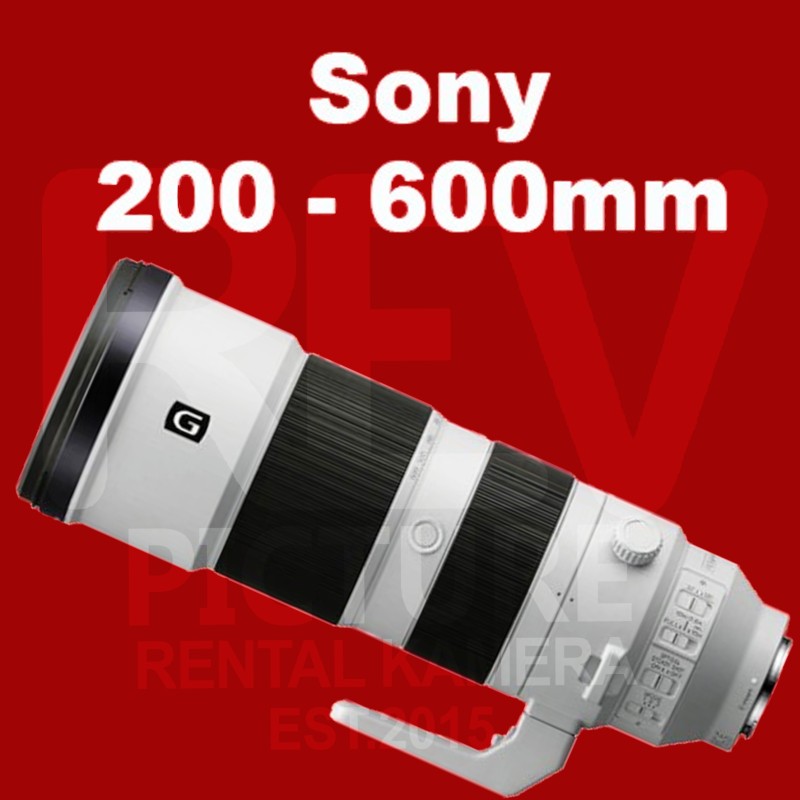 Sony 200 - 600mm