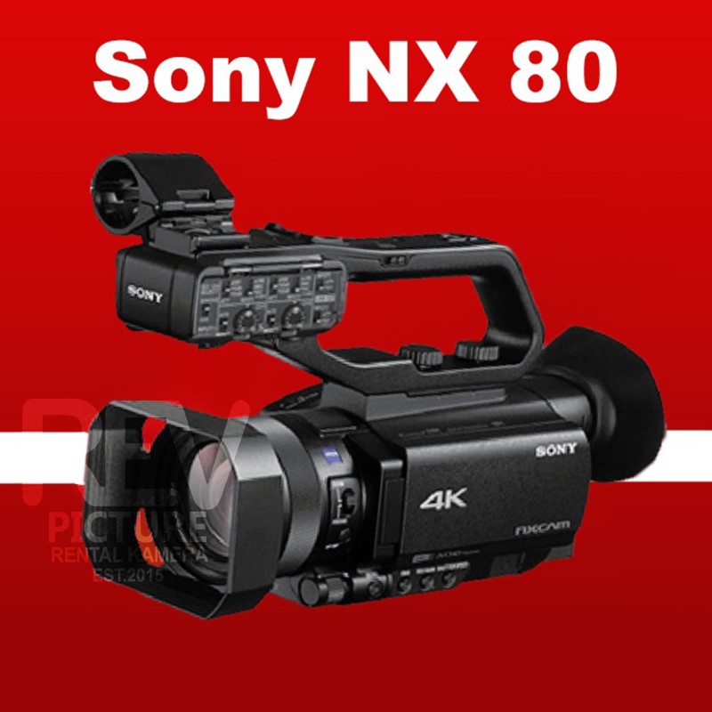 Sony NX 80