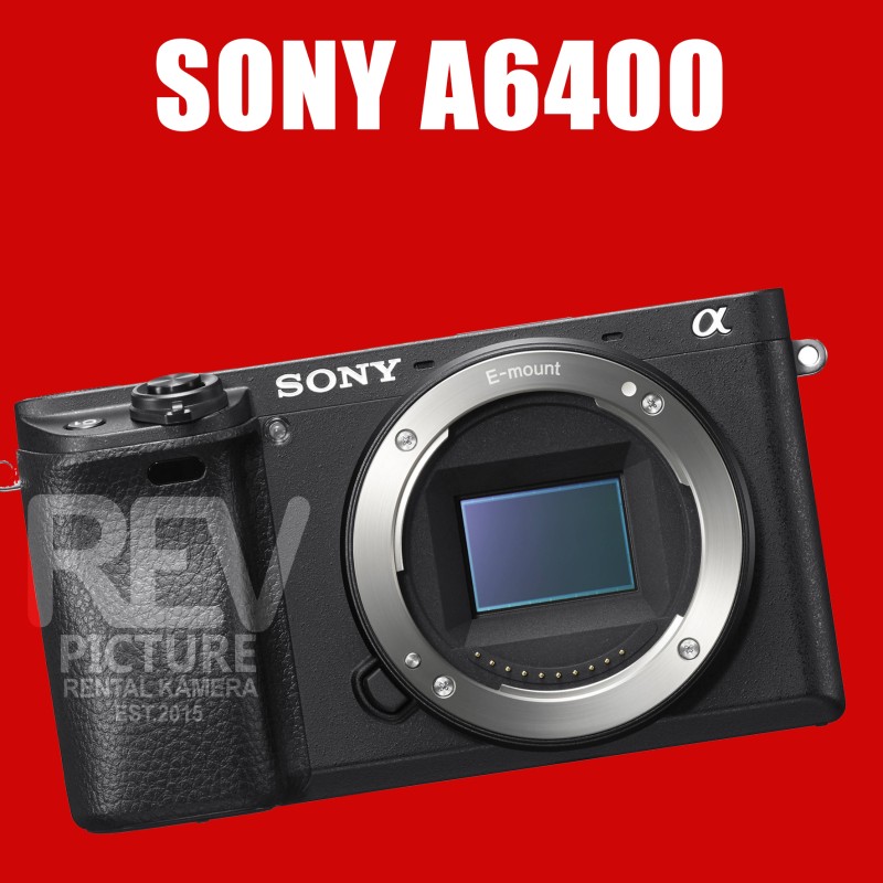 Sony A6300